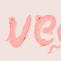 Create a Curvy, Worms Text Effect in Illustrator – Vector Premium Tutorial