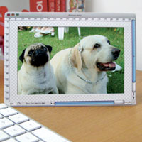 Designer and Illustrator Christmas Gift Guide