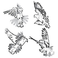 Artistic Pigeons – Vector Freebie