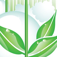 Quick Tip: How to Make a Nature Illustration with the Opacity Mask