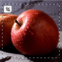 Quick Tip: How to Crop Raster Image in Adobe Illustrator