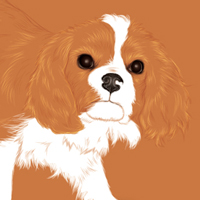 Create an Adorable Puppy with Negative Space and the Paintbrush Tool