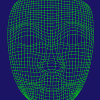 Create a Wireframe Face with the Envelope Distort Tool
