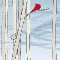 Create a Forest Scene with Livebrush