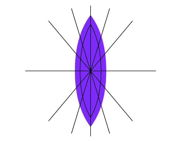 butterfly14