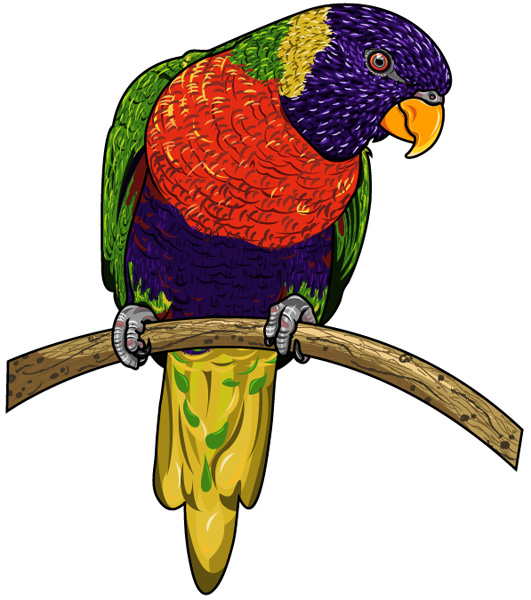 Parrot Illustration