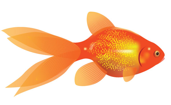 goldfish vector